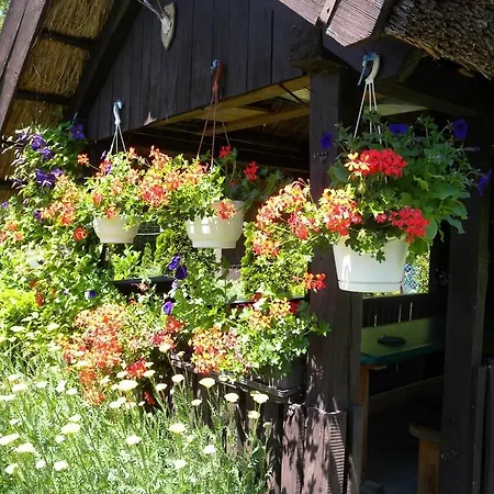 Feriehus Daisy 2 By Interhome *